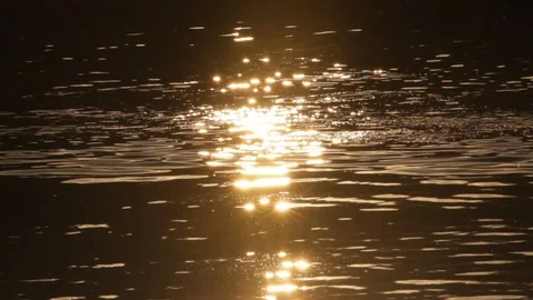 Sun glare on water Stock Footage 97072333