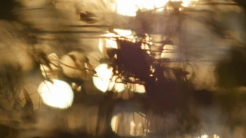 Sun Glare on the Water at Sunset Stock Footage 89419216