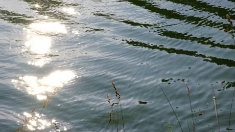 Sun glare on the water surface on a summer evening day Stock Footage 142460980