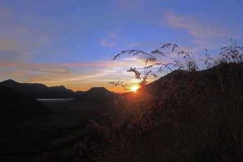The sun glared out of the mountain behind the grass in the meadow Foto stock