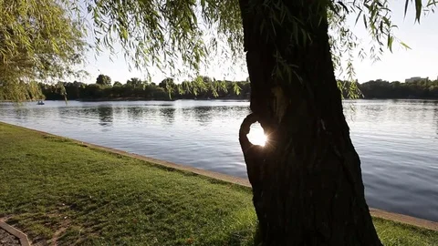 Sun Glares through a Tree Hole on Lake Shore Video stock 79412088