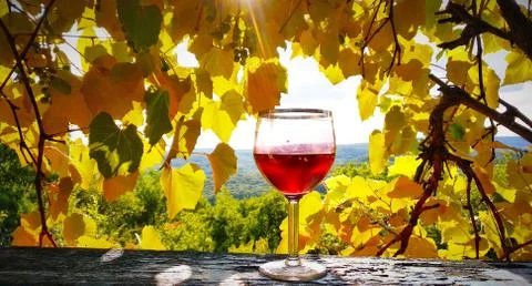 The sun in the glass Stock Photos