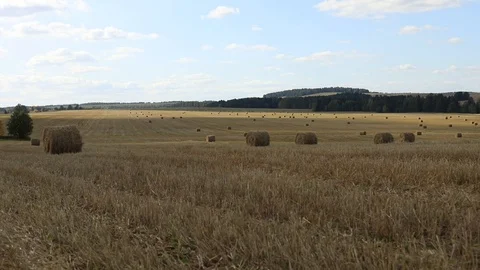 The sun glides over harvested wheat fields Stock Footage 117174754