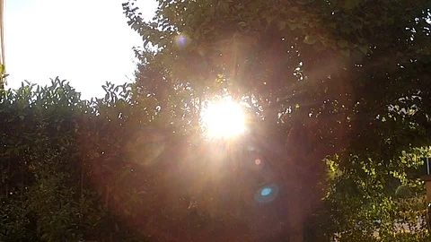 Sun gliding through the trees in the woods 動画素材 129601791