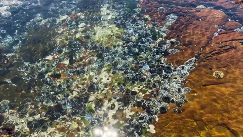Sun glinting off the water in a rock pool Stock Footage 170140079