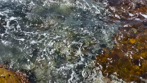 Sun glinting off the water in a rock pool Stock Footage 170140644