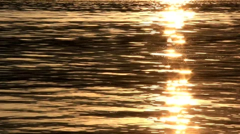 Sun glints Stock-Footage 874115