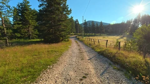 Sun glints off gravel path through green trees. Durmitor, Montenegro Vidéo 342980522