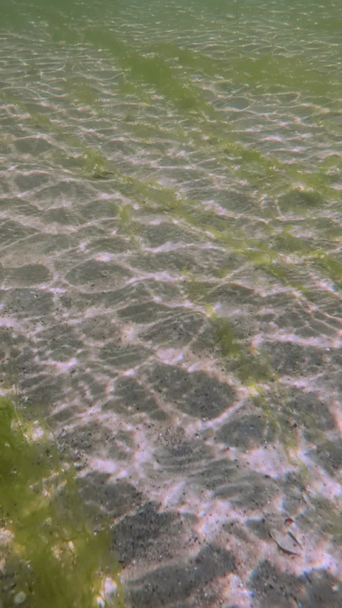Sun glistens on sandy bottom of shallow water, spreading in waves across sand, Stock Footage 314717392
