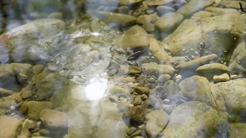 Sun glitter on rippling surface of creek Stock Footage 339093478