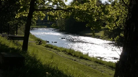 Sun glittering river in park Stock Footage 98149813
