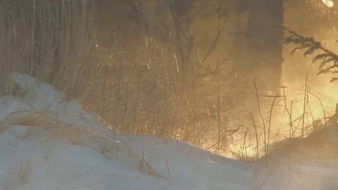 Sun glow grass blowing snow Stock Footage 74096170