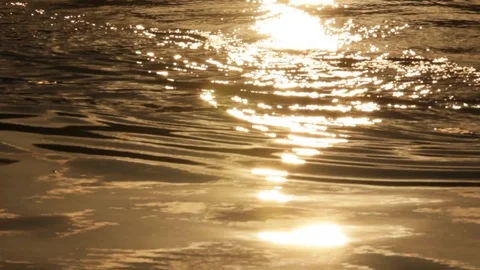 Sun glow on the water Stock Footage 97072431