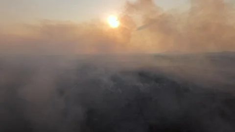 Sun glows through thick smoke Stock Footage 337986161