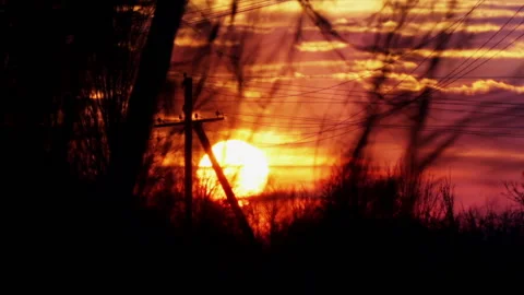 The sun goes down in the branches of trees and bushes. Stock Footage 107373877