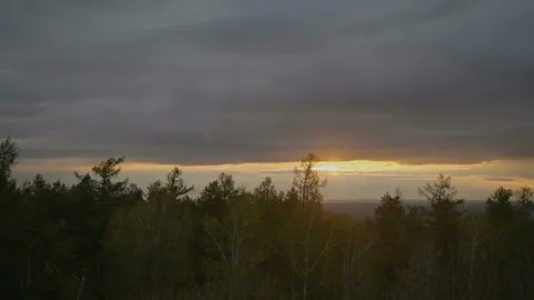 The sun goes down in the forest Video stock 91187018