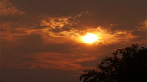 Sun goes up through the clouds. Timelapse Video stock 282054098