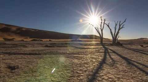 Sun going down behind dead tree dead vlei desert timelapse 4k Stock Footage 42313990