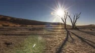 Sun Going Down Behind Dead Tree Dead Vlei Desert Timelapse 4K Stock Footage