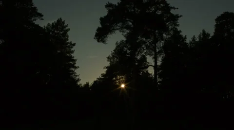 Sun going down in a dark forest Stock Footage 67499590