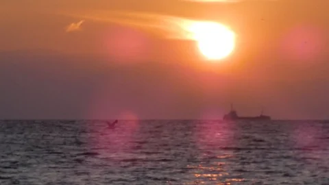 Sun is going down over the Sea behind Ships Stock Footage 123777778
