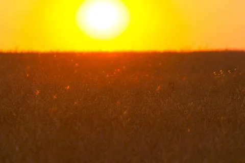 The sun going down Stock Photos