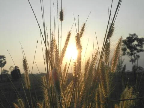 The sun is going to set Stock Photos