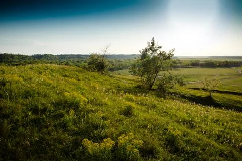 Sun on the grass Foto stock