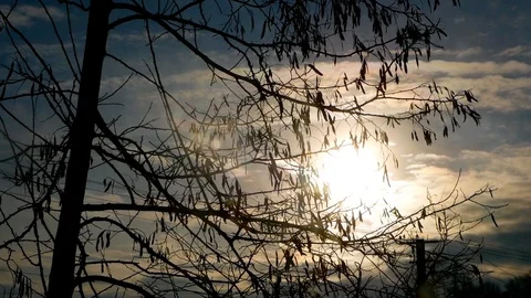 The sun is in a gray atmosphere Video stock 103938526