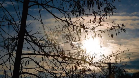 The sun is in a gray atmosphere Video stock 103938529