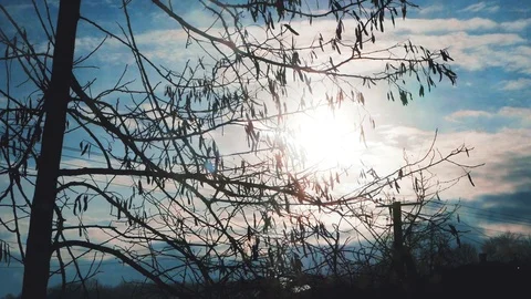 The sun is in a gray atmosphere Video stock 103938543