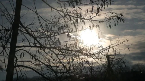 The sun is in a gray atmosphere Video stock 103938546
