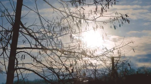 The sun is in a gray atmosphere Video stock 103938554