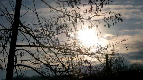 The sun is in a gray atmosphere Video stock 103938846