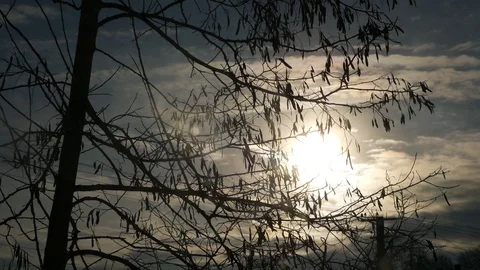 The sun is in a gray atmosphere Video stock 103939047