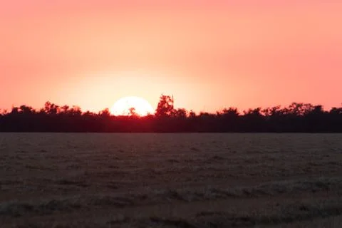 .the sun half hid behind the densely planted trees on a warm summer evening Stock Photos