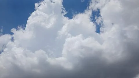 Sun Halo and Diagonal Clouds over Tree Tops 스톡 사진