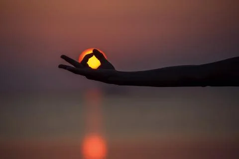 Sun in the hand Фото