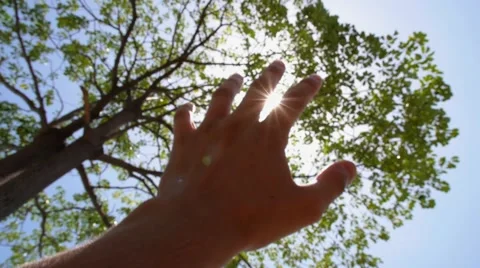 Sun in Hand. Slow Motion. Stock Footage 40713958
