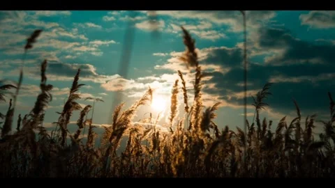 The sun has set Stock Footage 241166801