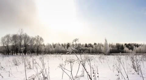 The sun is in the haze. Stock Photos