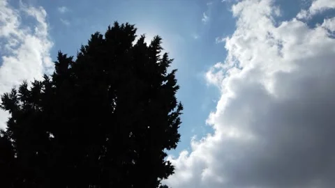Sun is hidden behind the big oak tree on a cloudy day. Partial cloudy day. Stock Footage 138816809