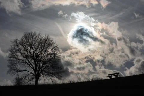 The sun hides behind a cloud, in the foreground stands a bench and a tree Stock Photos