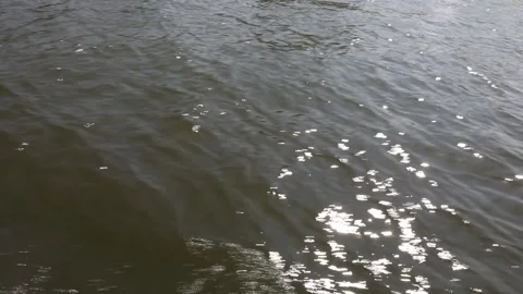 Sun hits the River Thames, close up, England  Stock Footage 181588448