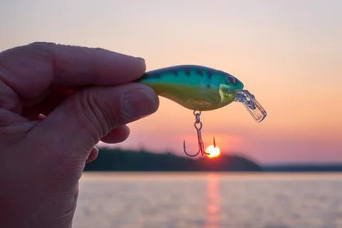 Sun hooked by a wobbler lure Stock Photos