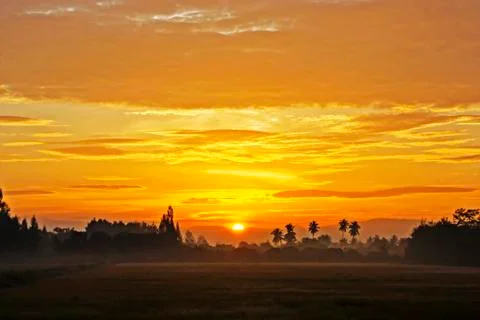 Sun on the horizon. Stock Photos