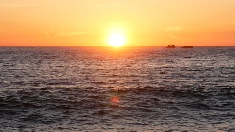 Sun on horizon at sunset over ocean as silhouetted bird flies left to right Stock Footage 107987422