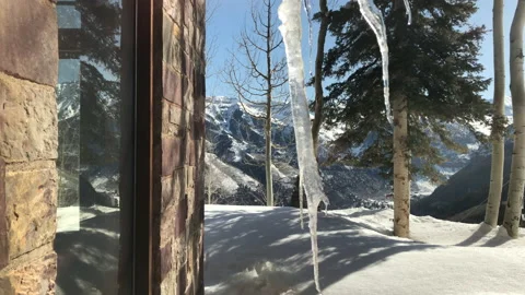 Sun Icicle Snow Pine Tree Video stock 156940743