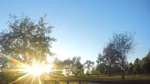 Sun Illuminates green Trees At Sunset Timelapse Vidéo 82049611
