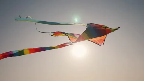 The sun illuminates the kite that soars in the sky Stock Footage 136230247
